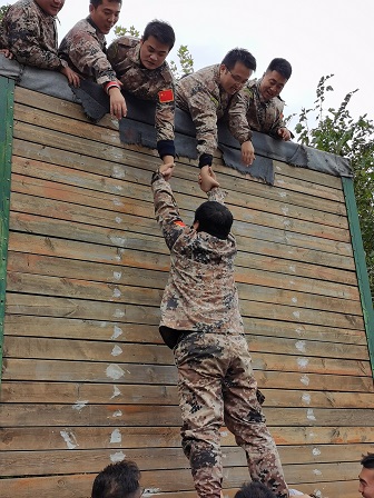 拓展训练 拓展训练